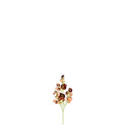 Inferno Inkberry
