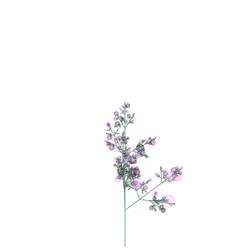 Tangled Ink Plant