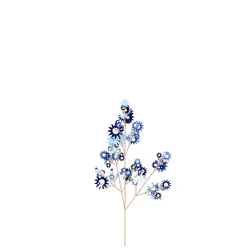 Fragrant Bittercress