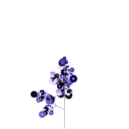 Nubloomfractal