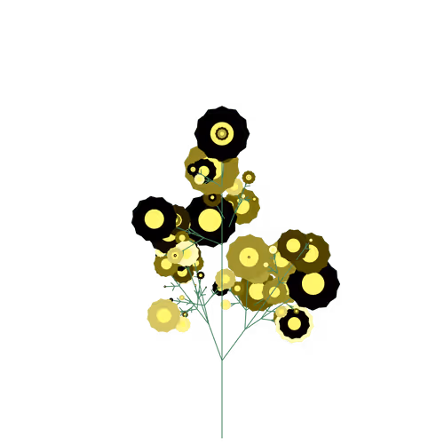 Nubloomfractal