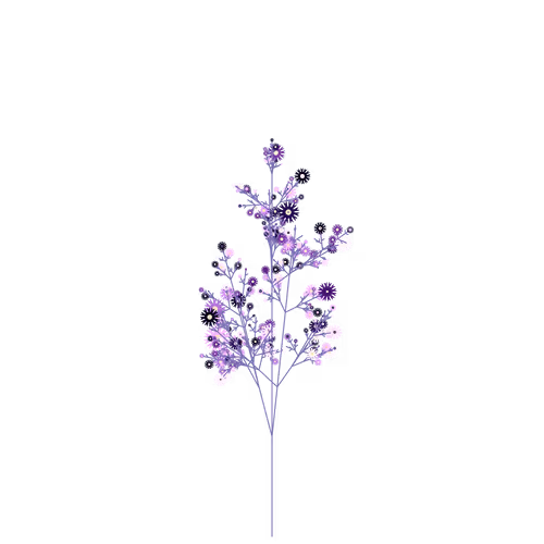 Nubloomfractal
