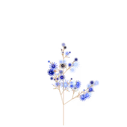 Nightmare Colwort