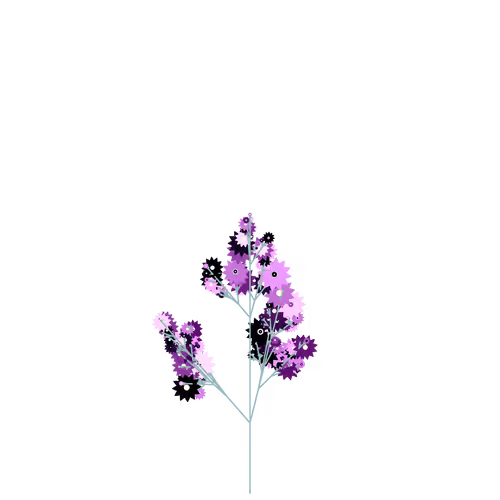 Nubloomfractal