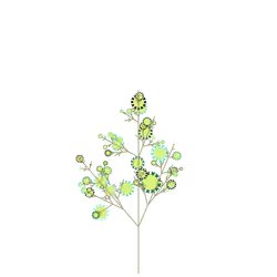 Dragon Bloom