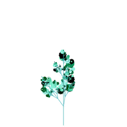 Tube Bindweed