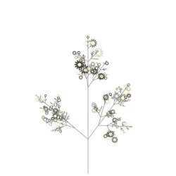Skeletal Felonwort