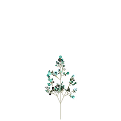 Knight's Gutweed