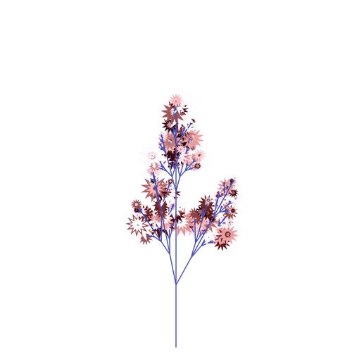 Nubloomfractal