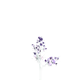 8670