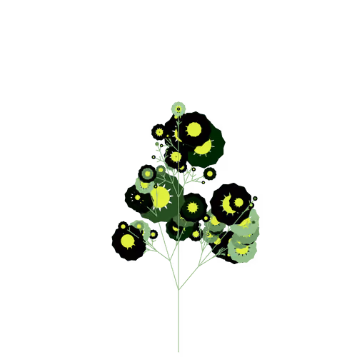 Vision Houseleek