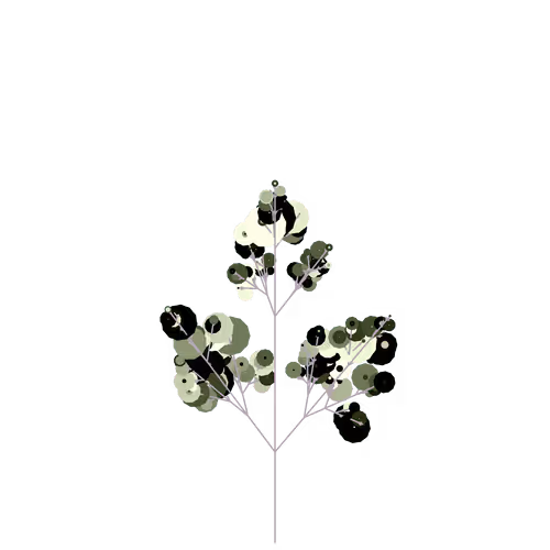 Nubloomfractal