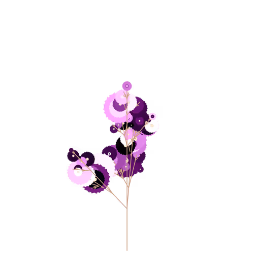 Nubloomfractal