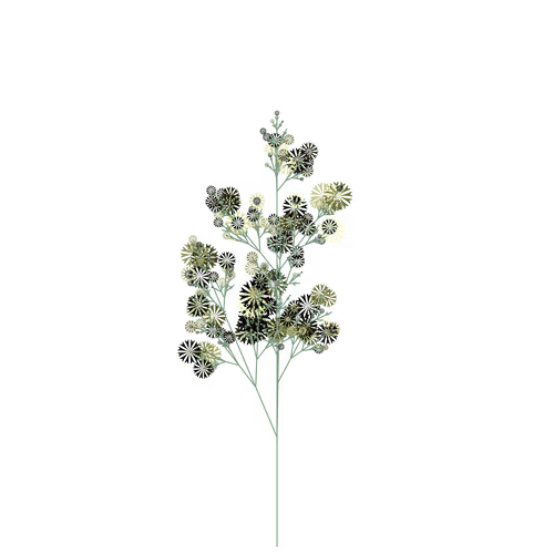 Nubloomfractal