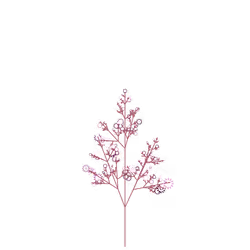 Dead Collard