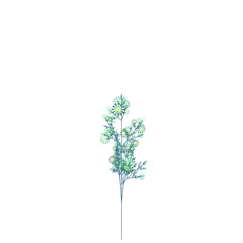 Nubloomfractal
