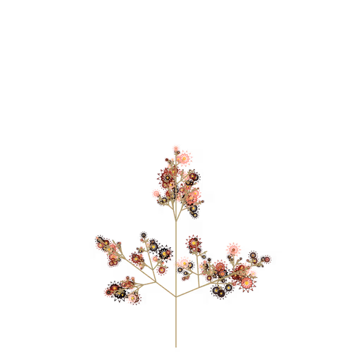 Nubloomfractal