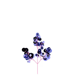 Salty Shadbush
