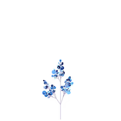 Bone Wintercress