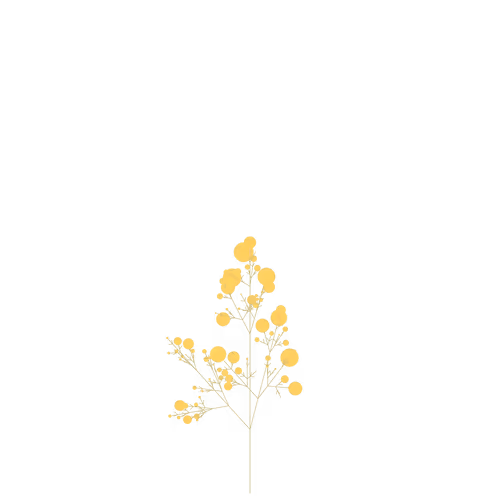 Nubloomfractal