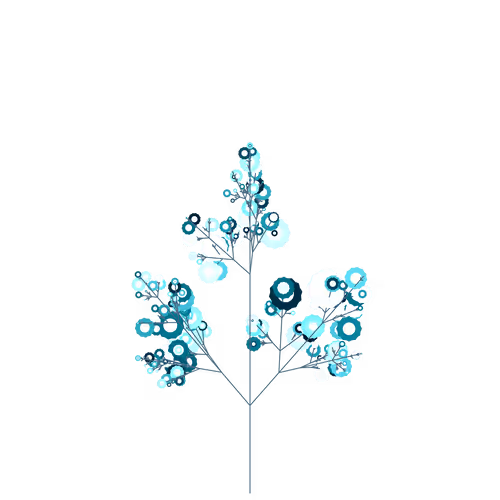 Nubloomfractal