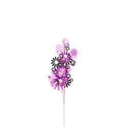 Jealous Geranium
