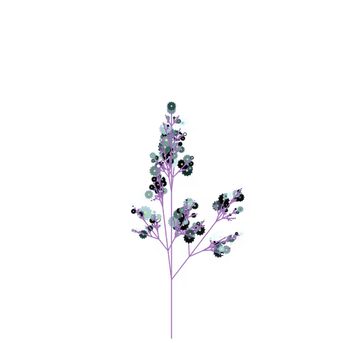 Nubloomfractal