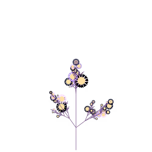Nubloomfractal