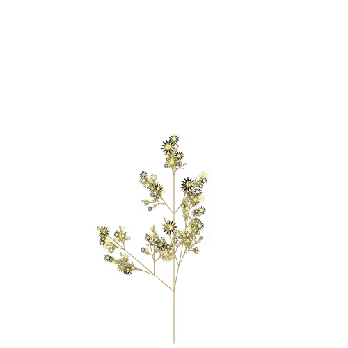 King's Colwort