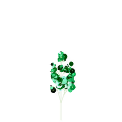 Angel Thyme