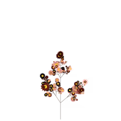 Moon Tulsi
