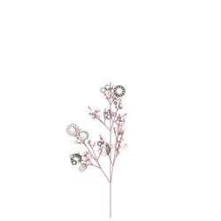 Delicious Vine