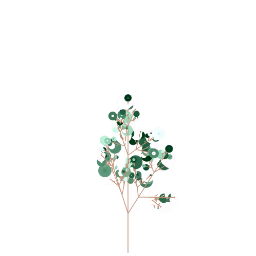 Nubloomfractal