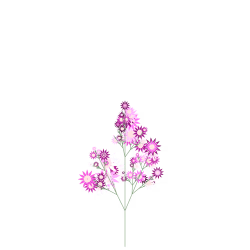 Nubloomfractal