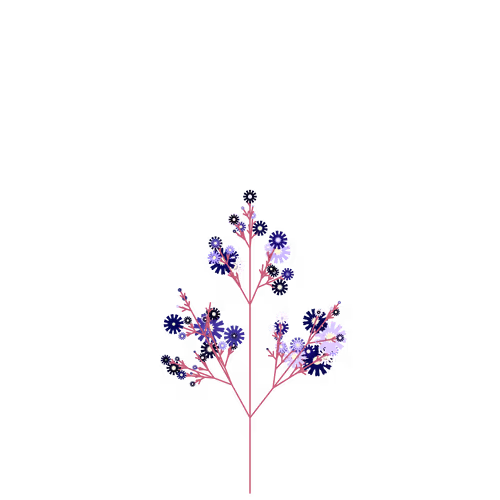 Nubloomfractal