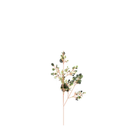 Skulking Boxwood