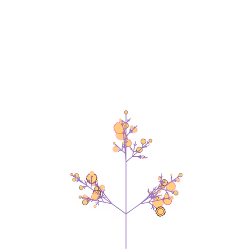 Nubloomfractal