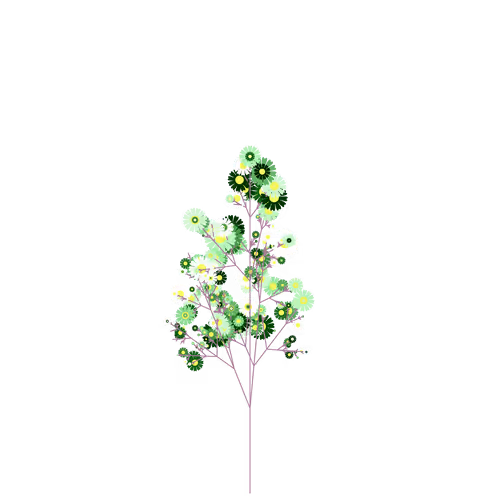 Nubloomfractal
