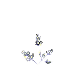 Creepy Rose