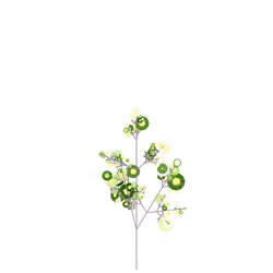 Pixy Flax