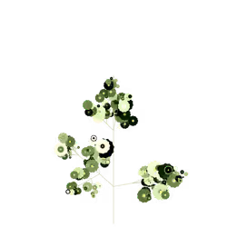 Death Wintercress