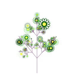 Dusk Pine