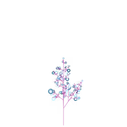 Dim Sugarcane