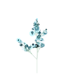 Ash Garlic