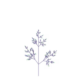 Knight's Shadbush