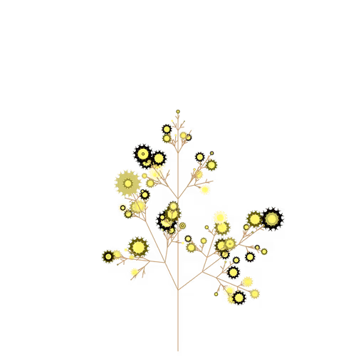Nubloomfractal