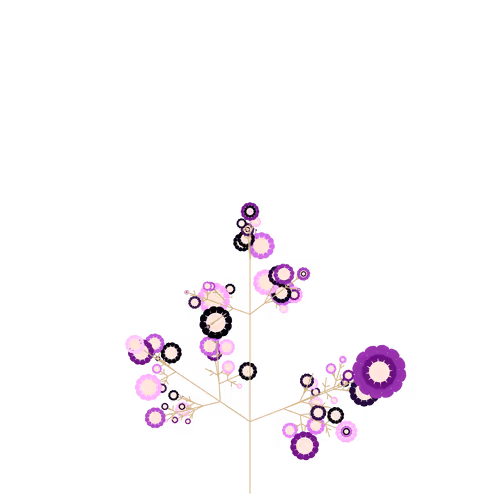 Nubloomfractal