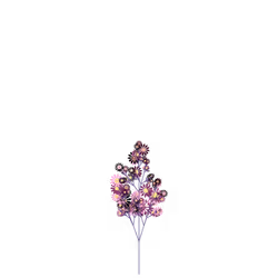 Barren Gutweed