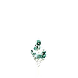 Island Stammerwort