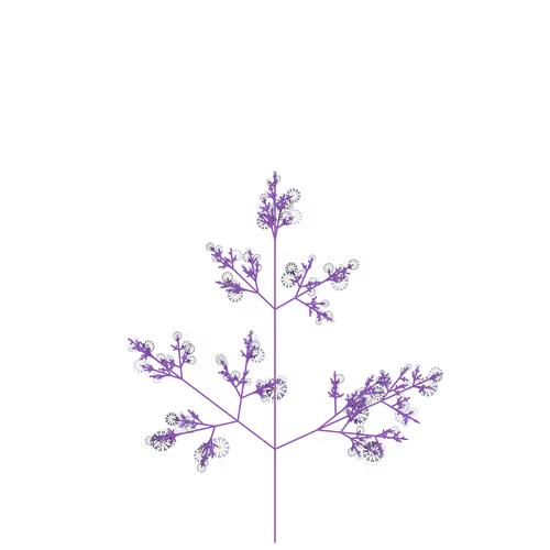 Nubloomfractal